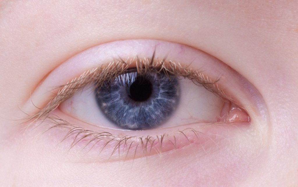 eye tracking mejores tecnicas de neuromarketing digital,eye tracking,eye,tracking,tecnicas,neuromarketing,empresas