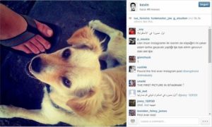 historia de instagram,instagram,historia,real historia de instagram,verdadera historia de instagram